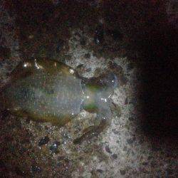 高潮が残りながらも