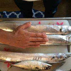 マイポイントで朝練