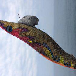 朝マヅメエギング