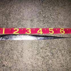 久しぶりの貝塚人工島!