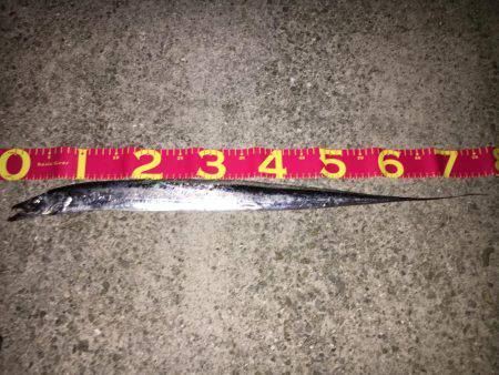 久しぶりの貝塚人工島!