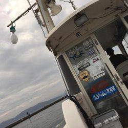 青物 秋シーズン突入！