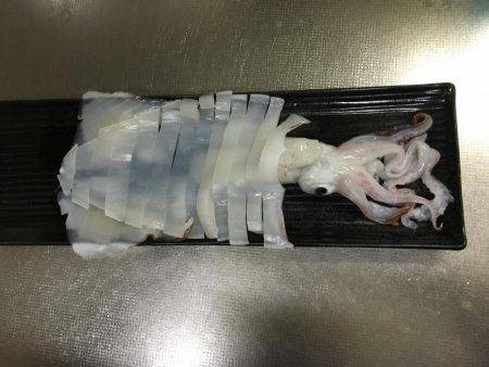 ケンサキイカ調査