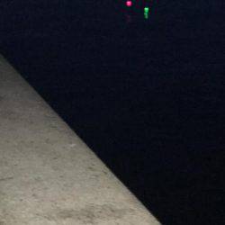 タチウオジギング