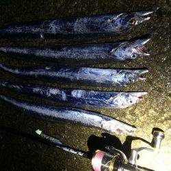 久しぶりのタッチー‼︎