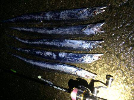 久しぶりのタッチー‼︎