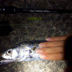 ウネリが・・・