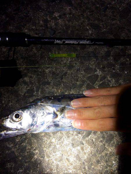 ウネリが・・・