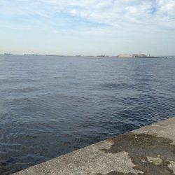 ポーアイ沖堤釣行