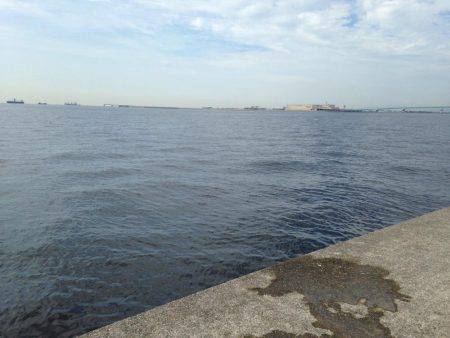 ポーアイ沖堤釣行