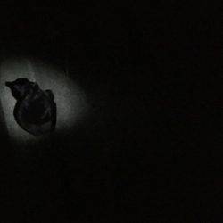 シーズンイン！