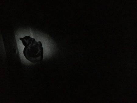 シーズンイン！