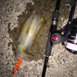 ぼっちエギング