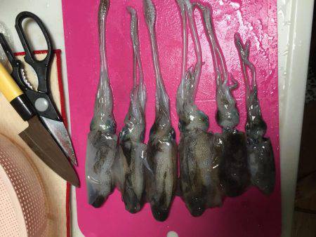 サイトでテクニカルに