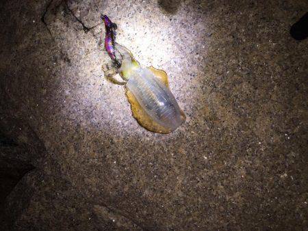 同僚君と新子調査