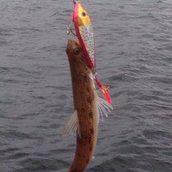 隠れてやがった!