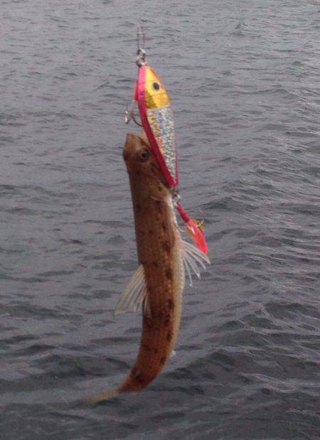 隠れてやがった!