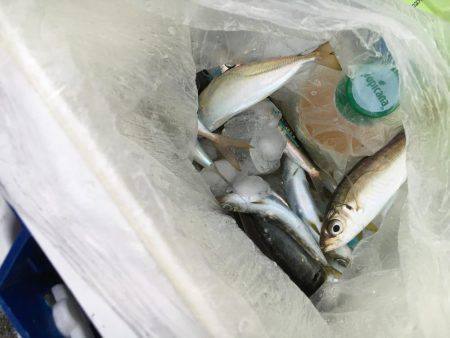 大賑わい食コン