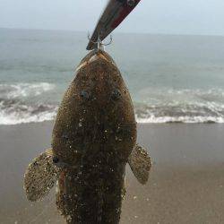 秋ヒラメ開幕へ