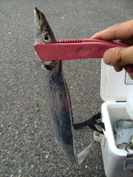 マイポイントで刀狩り