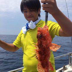 デカ オニカサゴ、真鯛、獲ったど〜