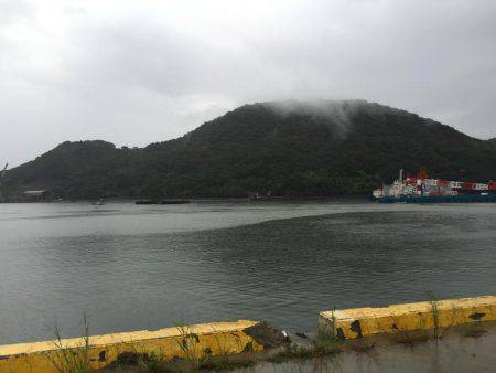 ウルメイワシ、アジ、チヌ