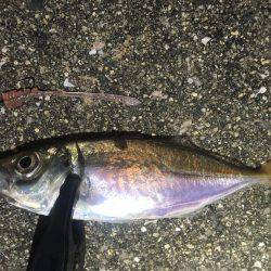 台風の影響は…