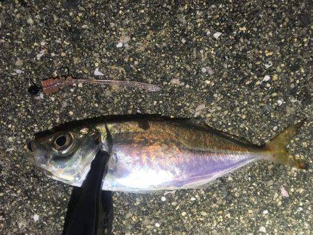 台風の影響は…