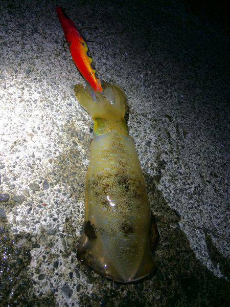 ウネリエギング