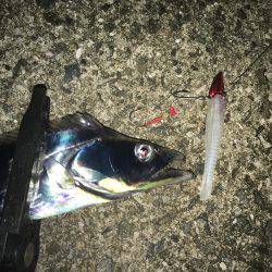 ワインドにて・・・