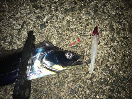 ワインドにて・・・