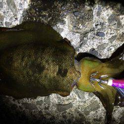 寝る前の短時間(笑)