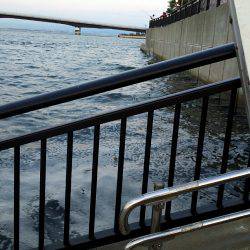 夕方に粘ってサゴシ