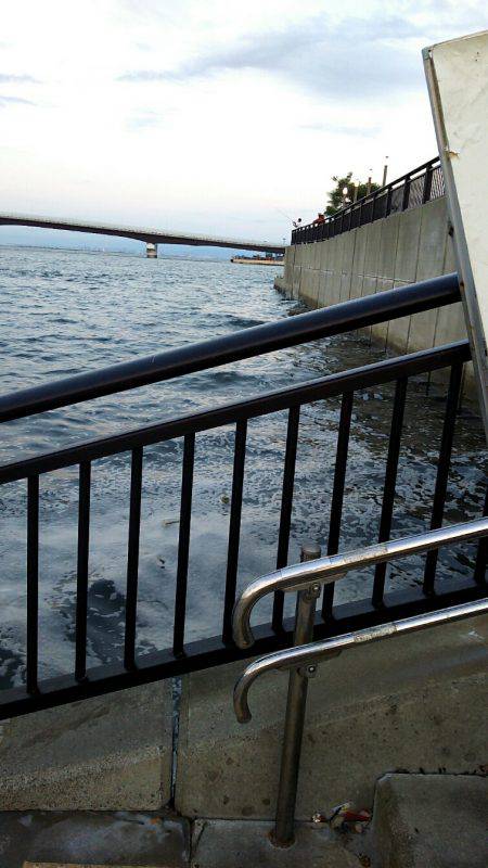 夕方に粘ってサゴシ