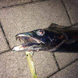 初メーターオーバー