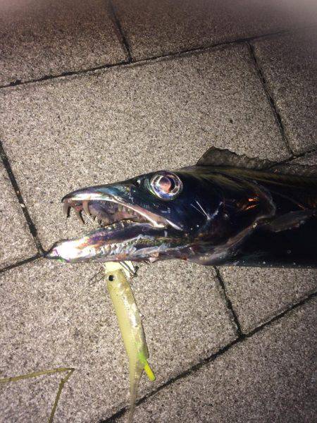 初メーターオーバー