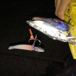 タチウオ復活in貝塚人工島