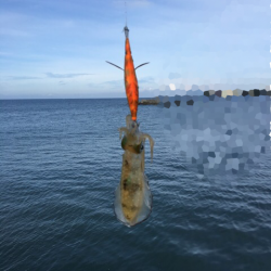 またまた中紀へ