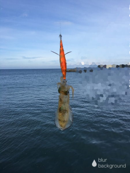 またまた中紀へ