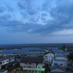 サゴシわいてます。