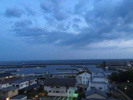 サゴシわいてます。