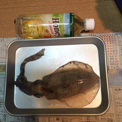 新子にしてはデカイ