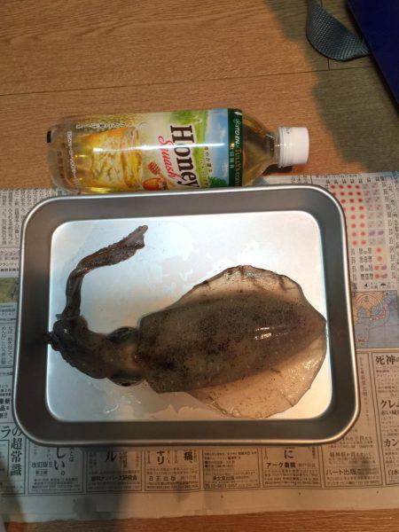 新子にしてはデカイ