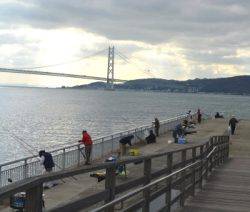 タチウオ好調！