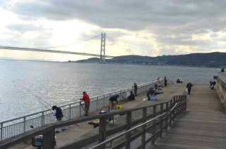 タチウオ好調！