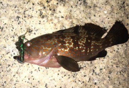 友人デビュー戦！