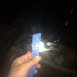 二兎を追うも追いきれず。