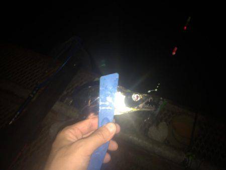 二兎を追うも追いきれず。