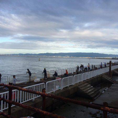 偶には海釣り公園で朝練