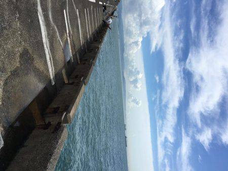 サゴシ&太刀魚パトロール